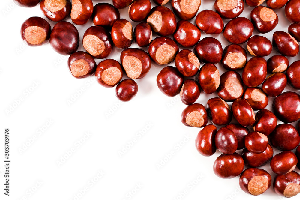Chestnuts isolated on a white background. Text space. Chestnuts isolated on a white background. Text space.