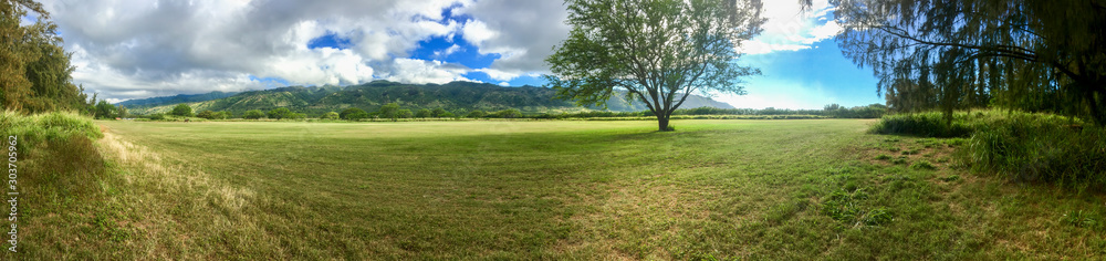 Panoramic Landscape mountains and tree in field