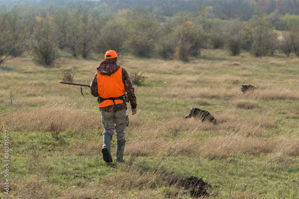 Hunting period, autumn season open. A hunter with a gun in his hands in hunting clothes in the autumn forest in search of a trophy. A man stands with weapons and hunting dogs tracking down the game. Hunting period, autumn season open. A hunter with a gun in his hands in hunting clothes in the autumn forest in search of a trophy. A man stands with weapons and hunting dogs tracking down the game.
