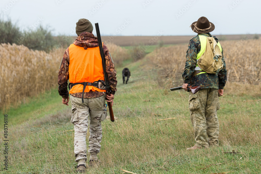Hunting period, autumn season open. A hunter with a gun in his hands in hunting clothes in the autumn forest in search of a trophy. A man stands with weapons and hunting dogs tracking down the game. Hunting period, autumn season open. A hunter with a gun in his hands in hunting clothes in the autumn forest in search of a trophy. A man stands with weapons and hunting dogs tracking down the game.