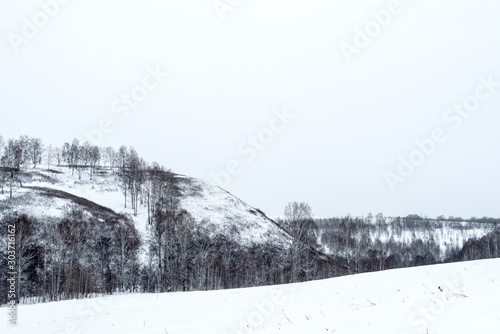 picturesque view of snow-covered field with trees at winter day 