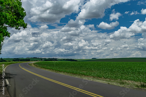 Amazing agricultural landscape of soy bean plantation near a road with a dramatic sky at Tibagi - Parana - Brazil. Green ripening soybean field.