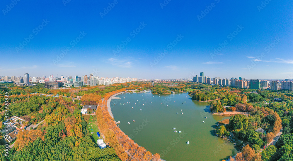 Fototapeta premium Aerial aerial photographof of the new century park in Pudong New Area, Shanghai, China