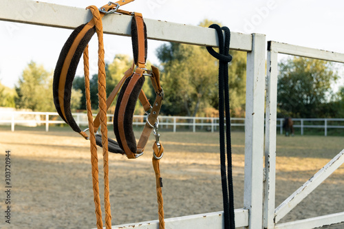 reins collar and belt equipment for riding horse hanging on a metallic fence territory of ranch  photo