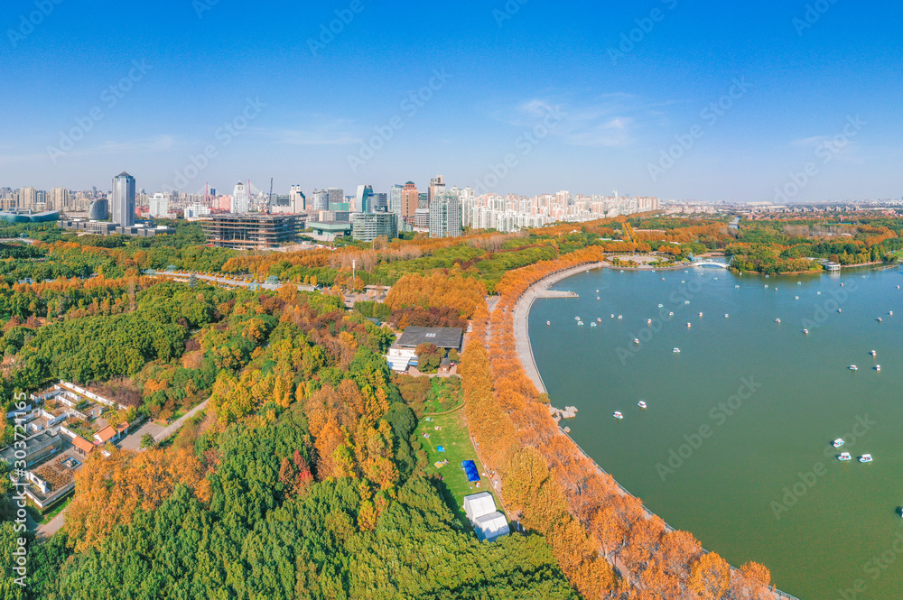 Fototapeta premium Aerial aerial photographof of the new century park in Pudong New Area, Shanghai, China