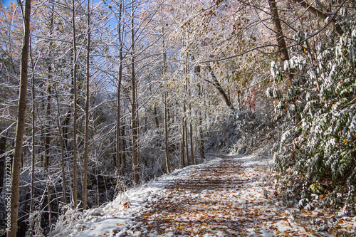 Hiking trail through snow covered woods in Great Smoky Mountains National Park