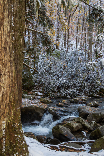 Mountain Stream through snow covered woods in Great Smoky Mountains National Park