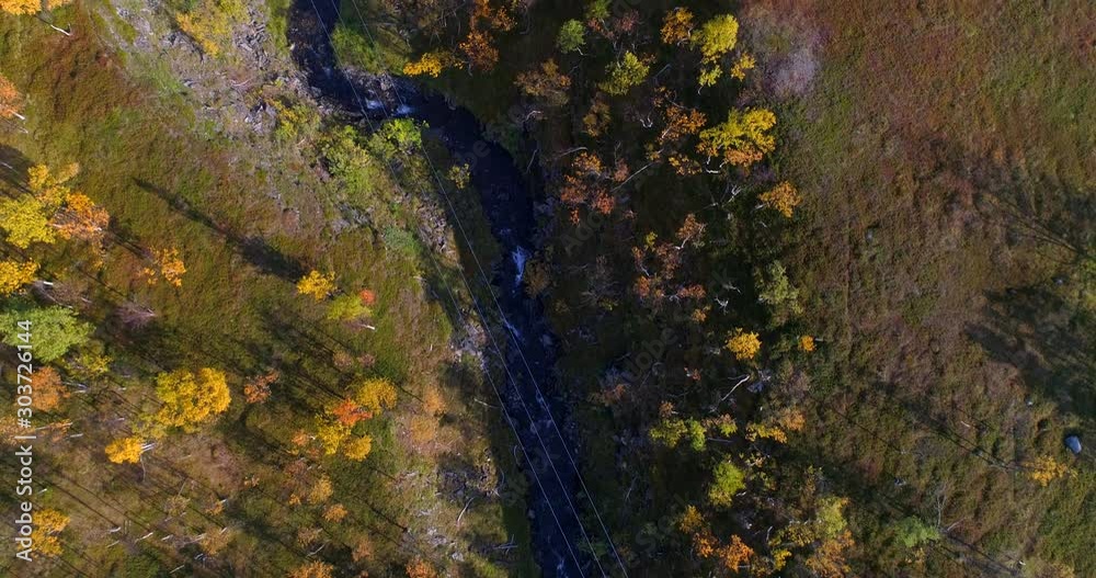 River surrounded by foliage forest, Aerial, tilt up, drone shot, over fall colored birch trees, in a valley, on a partly sunny, autumn day, in Troms, Norway River surrounded by foliage forest, Aerial, tilt up, drone shot, over fall colored birch trees, in a valley, on a partly sunny, autumn day, in Troms, Norway