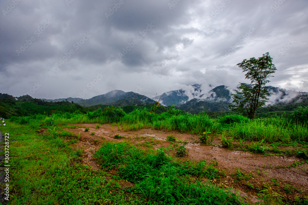 Blurred background of a mountain road view, from a car windscreen that runs with care, with natural scenery surrounded by plants, large trees