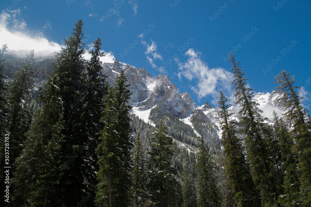 Snow covered mountain peaks above the forest