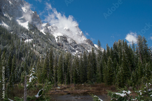 Snow covered mountain peaks above the forest