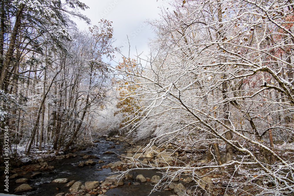 Φωτογραφία Mountain Stream through snow covered woods in Great Smoky Mountains National Par