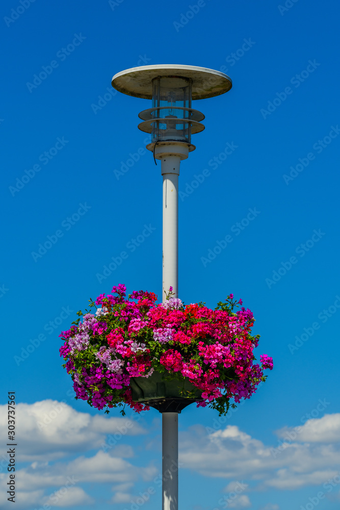 Lantern with flowers in Camaret-sur-Mer . Finister. Brittany. France Lantern with flowers in Camaret-sur-Mer . Finister. Brittany. France