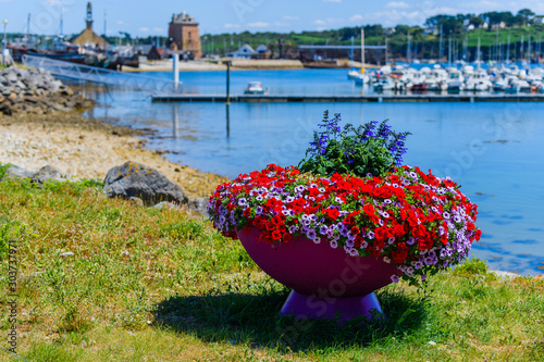 Flowers on the promenade in Camaret-sur-Mer . Finister. Brittany. France