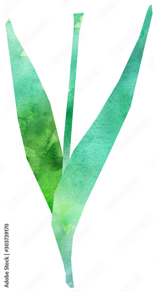 チューリップの葉っぱ部分 イラスト Stock Illustration Adobe Stock