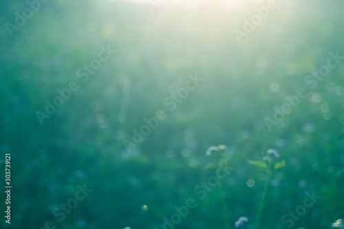 Abstract light background of blurred bokeh on a natural background of blue grass 