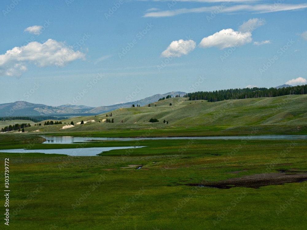 Naklejka premium Lush green meadow with the Yellowstone River at the Yellowstone National Park in Wyoming, USA.
