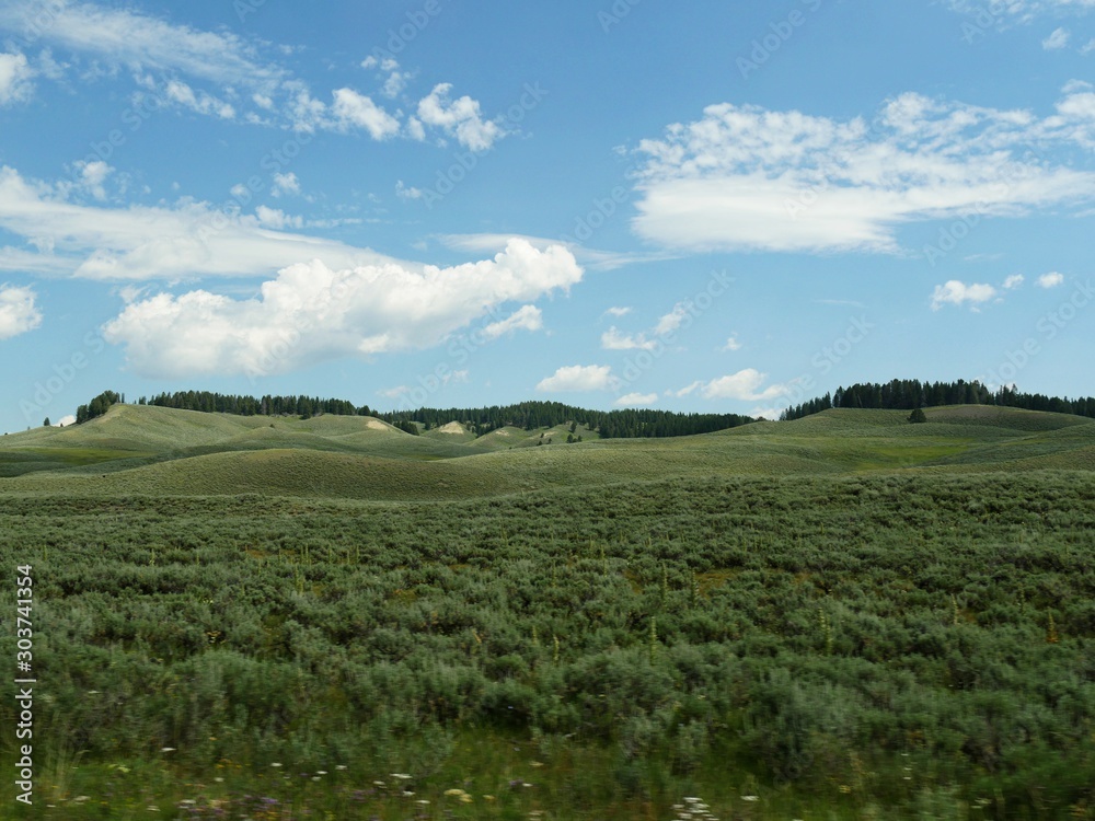 Relaxing views of rolling hills and verdant valleys at Yellowstone National Park views