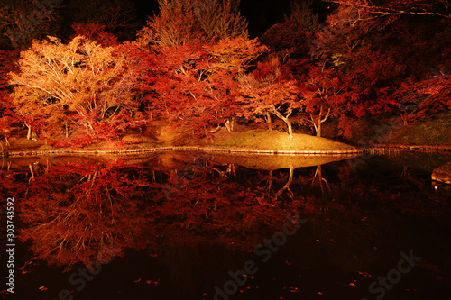 ライトアップされた紅葉が美しいゆうじゃく公園 photo