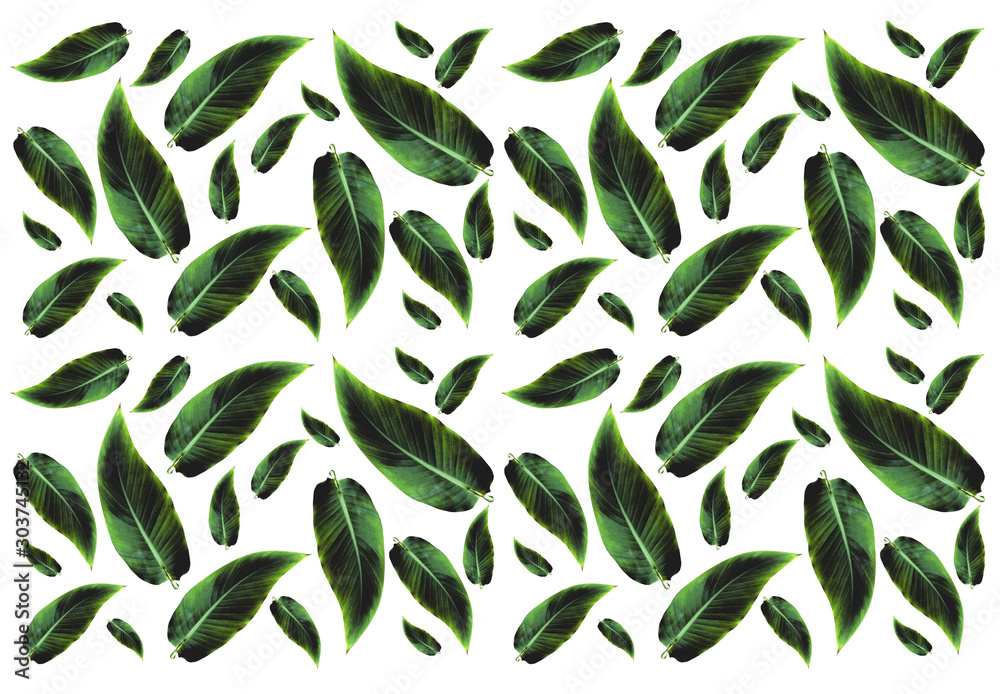 background with green leaves background with green leaves