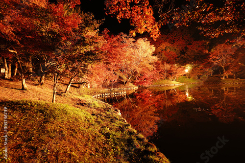 ライトアップされた紅葉が美しいゆうじゃく公園 photo