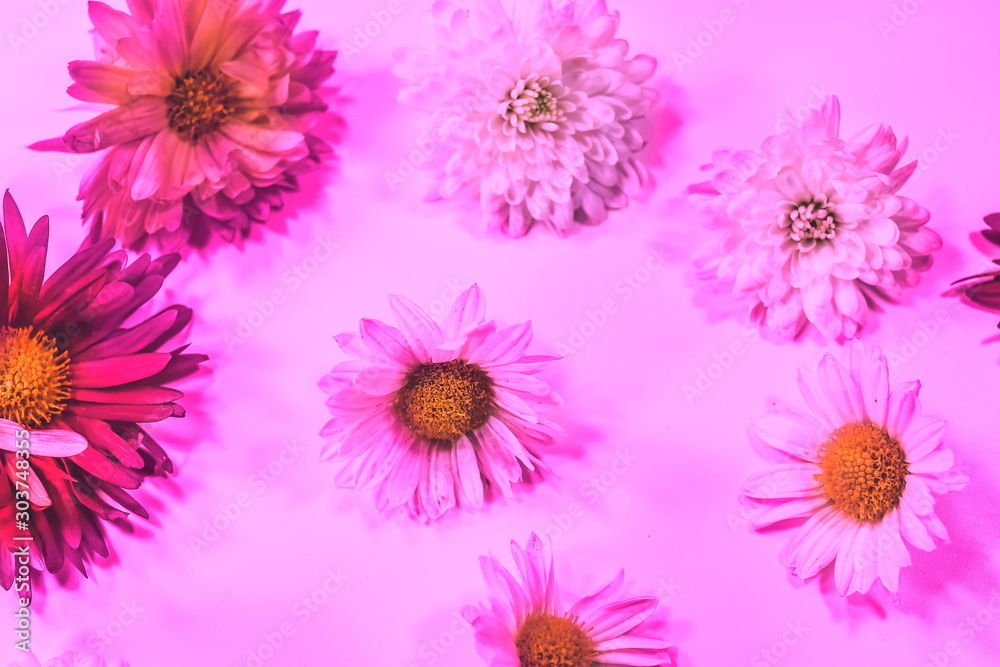 Obraz premium flowers on a colored tinted background.