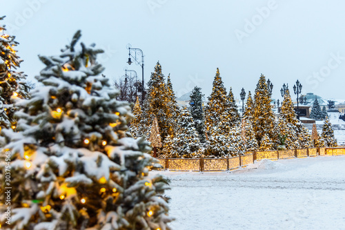 Snow-covered christmas trees on Manezhnaya square. Moscow. Russia