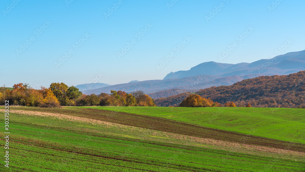 View of the farm fields with green shoots View of the farm fields with green shoots