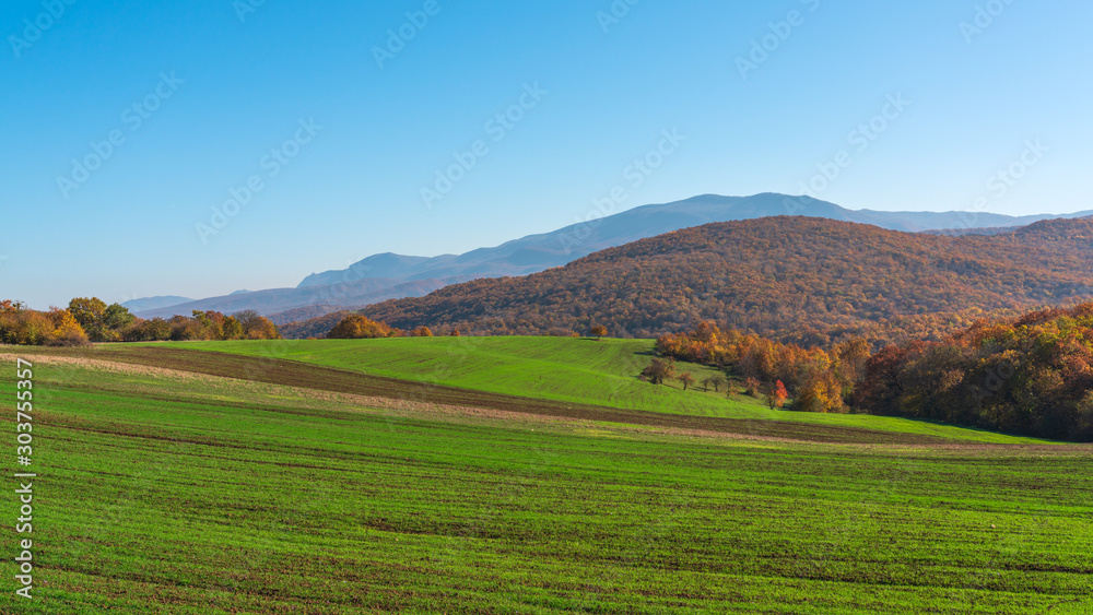 View of the farm fields with green shoots