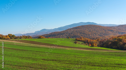 View of the farm fields with green shoots