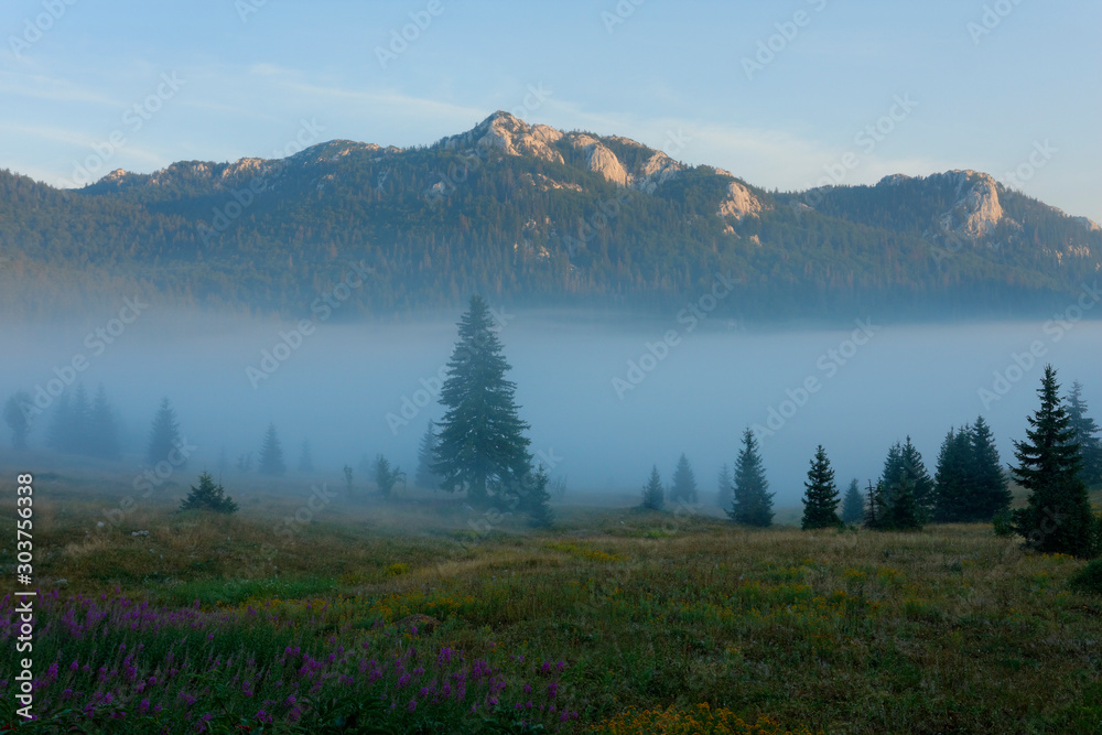 Morning mist on Velebit mountain, Croatia