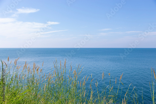 Pennisetum (feather grass) with sea
