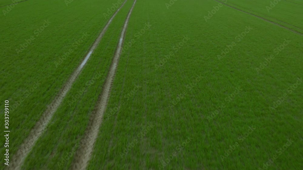 Fly close-up green field and raising the camera view towards the horizon Fly close-up green field and raising the camera view towards the horizon