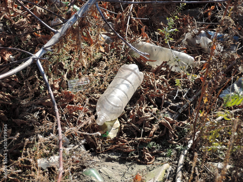 Obraz premium Plastic bottle waste in the nature. Plastic pollution concept