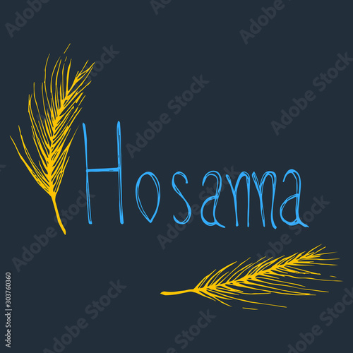 hand drawn vector illustration