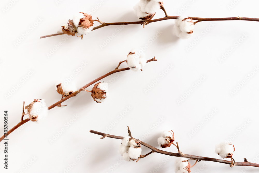 Composition with cotton branches