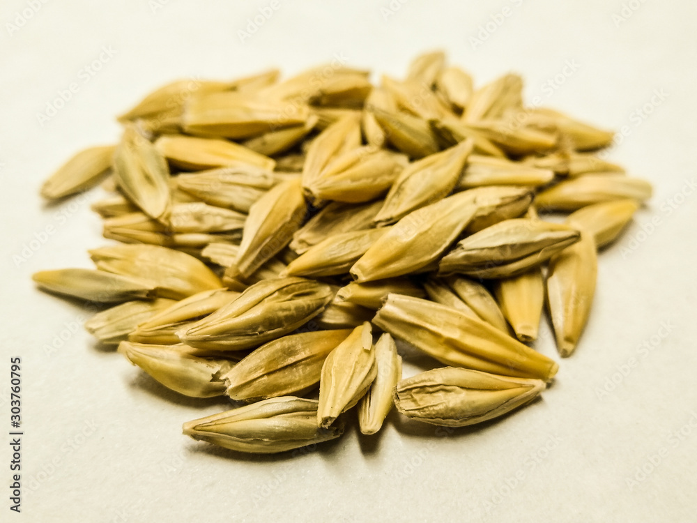 A picture of barley corn A picture of barley corn