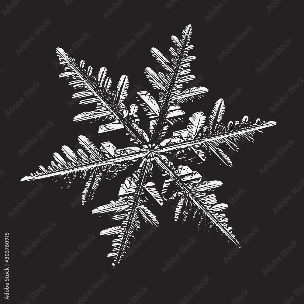 Snowflake on black background. Vector illustration based on real snow crystal at high magnification: elegant stellar dendrite with flat, ornate arms, complex inner details and glossy, relief surface. Snowflake on black background. Vector illustration based on real snow crystal at high magnification: elegant stellar dendrite with flat, ornate arms, complex inner details and glossy, relief surface.