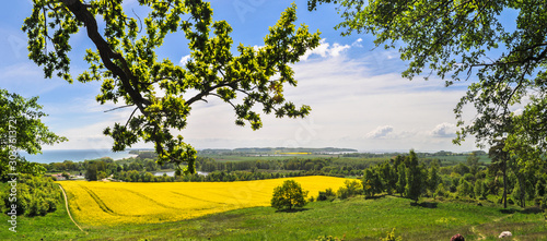 Rapsblüte in Göhren auf Rügen, Blick zum Südstrand und den Zicker Bergen, Halbinsel Mönchgut