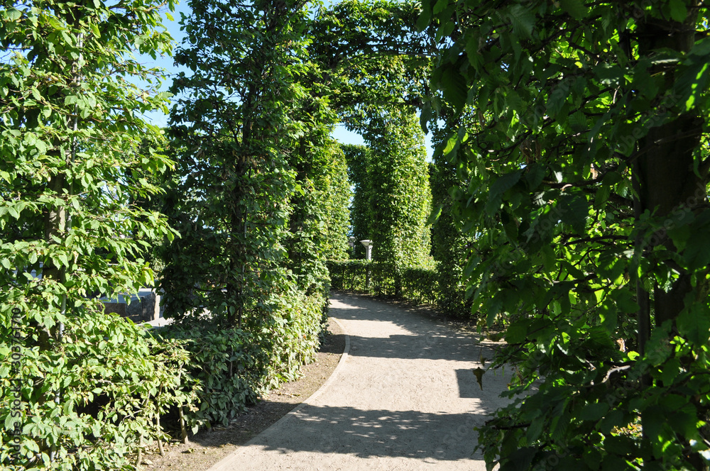 Bernsteinpromenade in Göhren auf Rügen Bernsteinpromenade in Göhren auf Rügen
