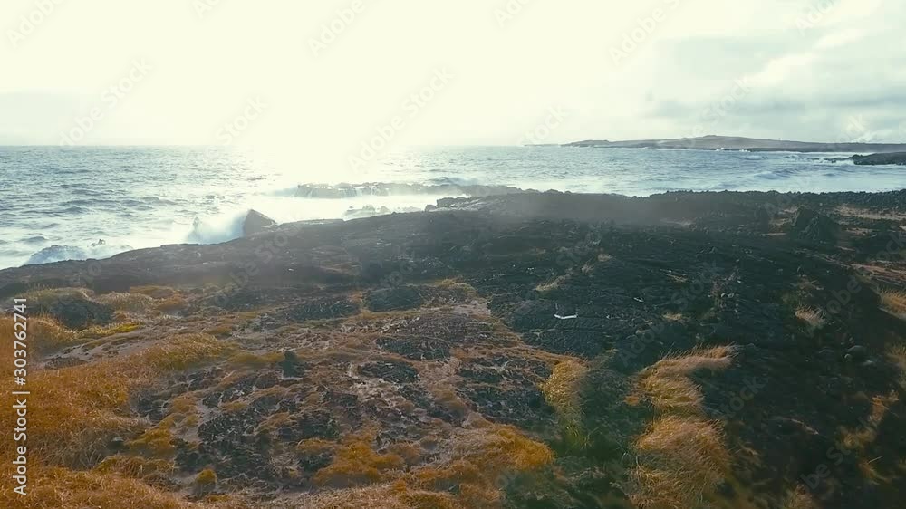 Powerful ocean waves crashing on the rocks in the western part of Iceland in the sunset light Powerful ocean waves crashing on the rocks in the western part of Iceland in the sunset light
