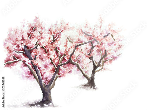Flowering pink tree in the spring garden © Inna Yakusheva