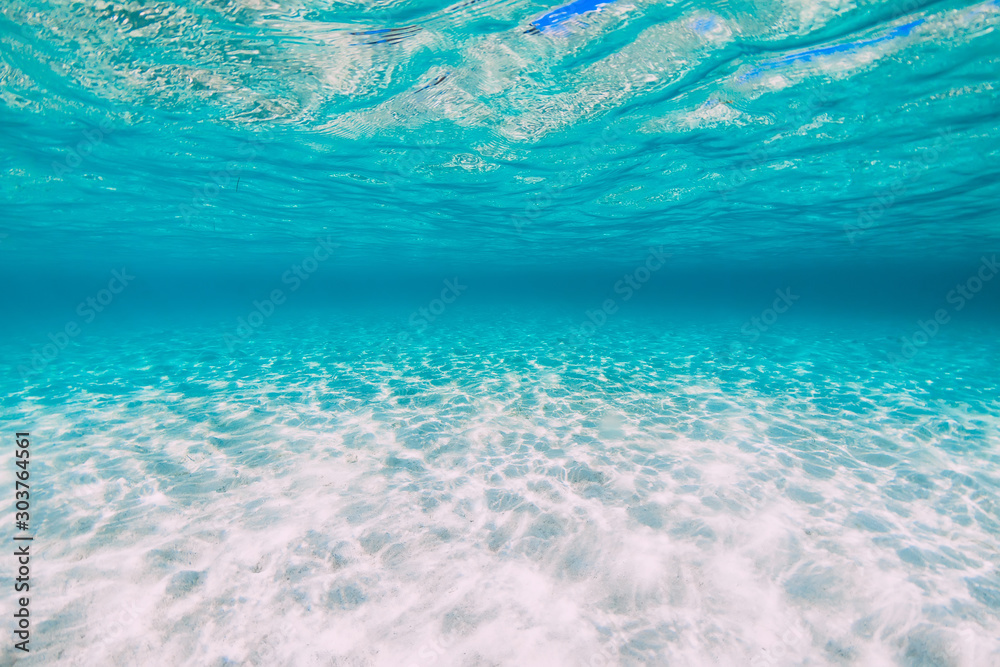 Tropical transparent ocean with sand underwater in Hawaii - obrazy, fototapety, plakaty 
