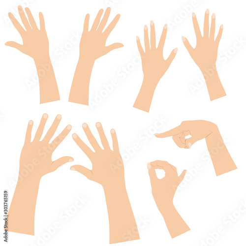 Female and male hand with nails, top view and profile. Hand drawn line sketch, vector silhouettes, beige color isolated on white background