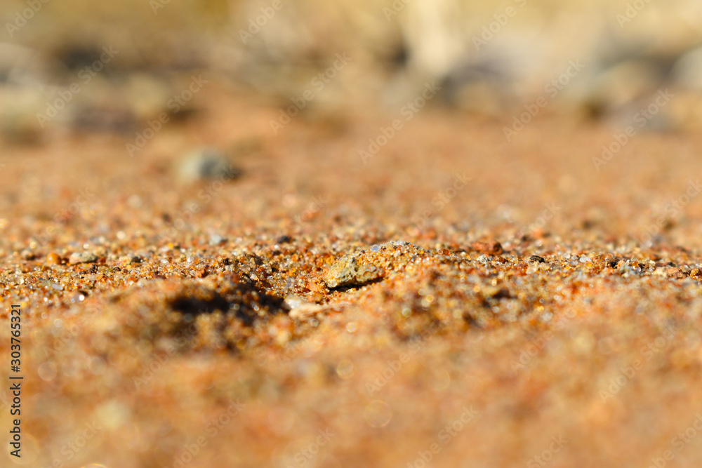 sand close up sand close up