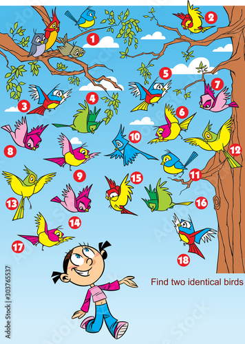 Vector illustration with a puzzle on which you need to find two same birds.