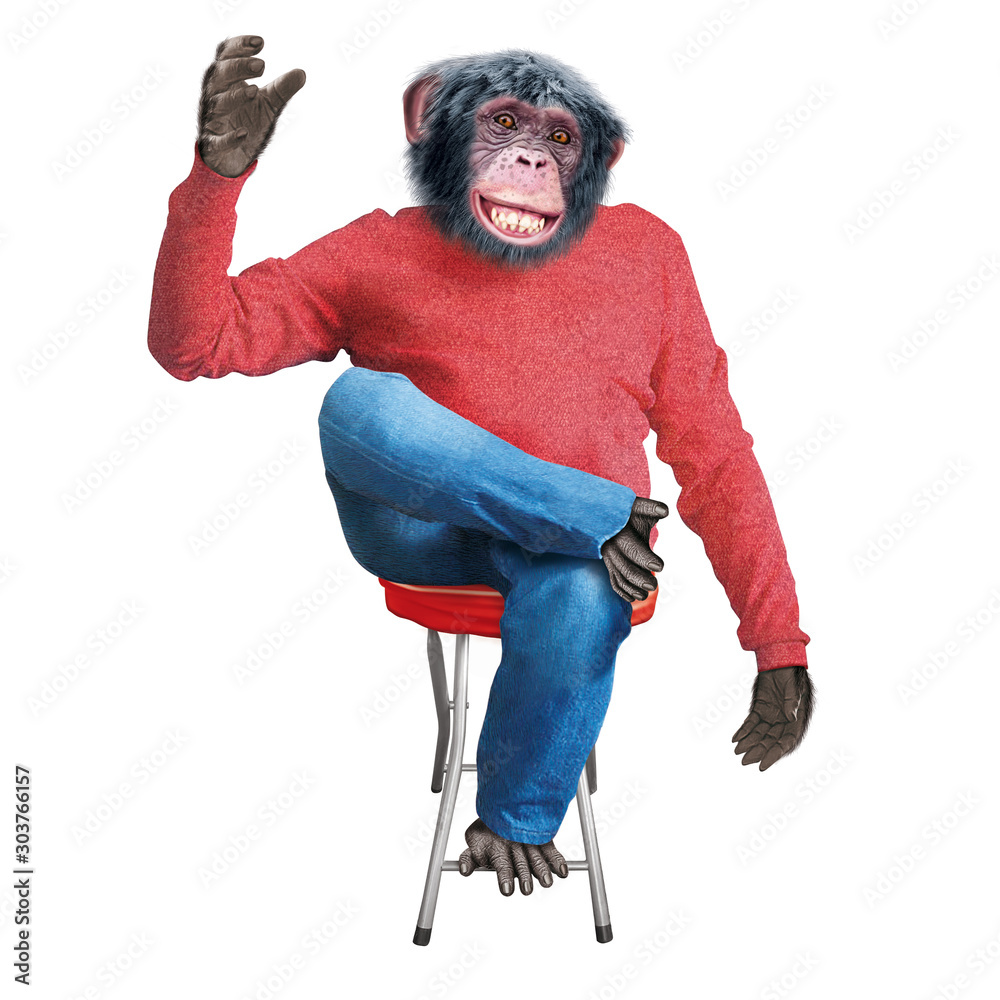 chimpanzé, assis, tenir un objet, tenir un verre, singe, jeune