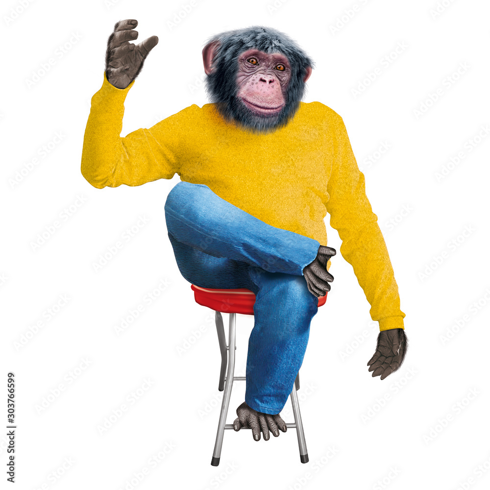 Φωτογραφία chimpanzé, assis, tenir un objet, tenir un verre, singe, jeune, animal, habillé