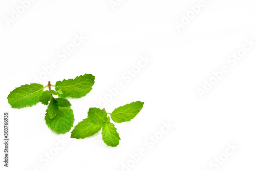 Mint leaves isolated on white background