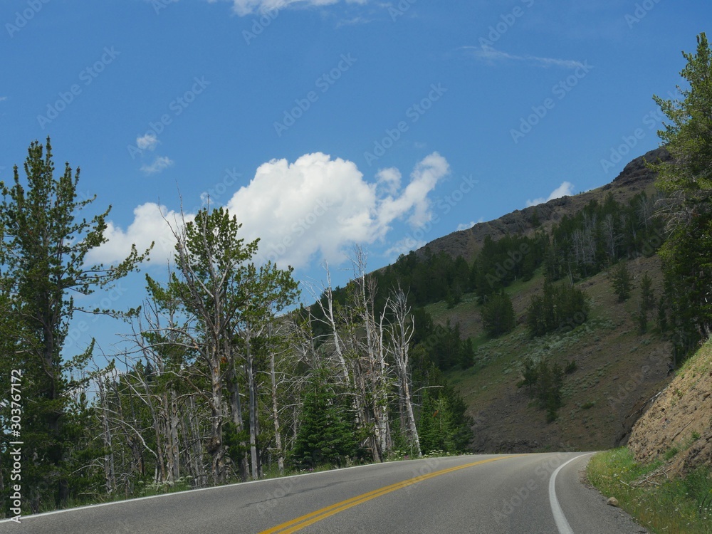 Scenic views driving around Yellowstone National Park in Wyoming.